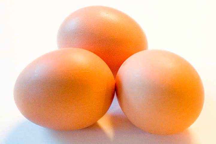 Яйця в харчуванні